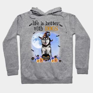 Husky Witch Hat Life Is Better With Dogs Halloween Hoodie